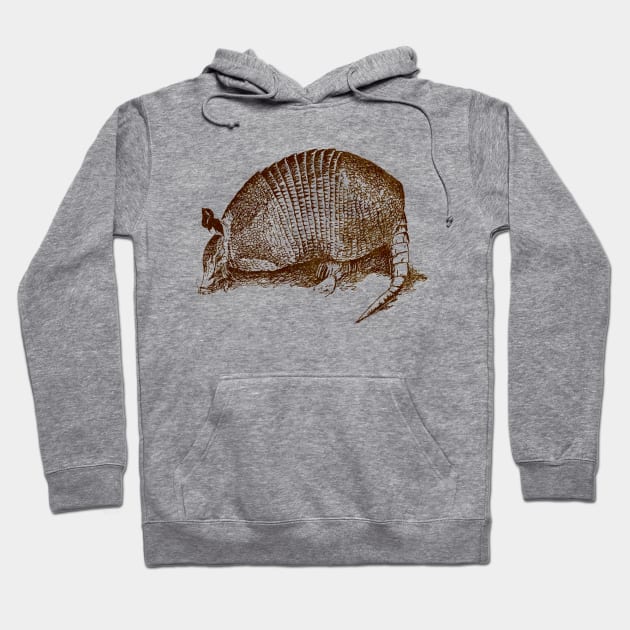 Armadillo Hoodie by DarlaHallmark